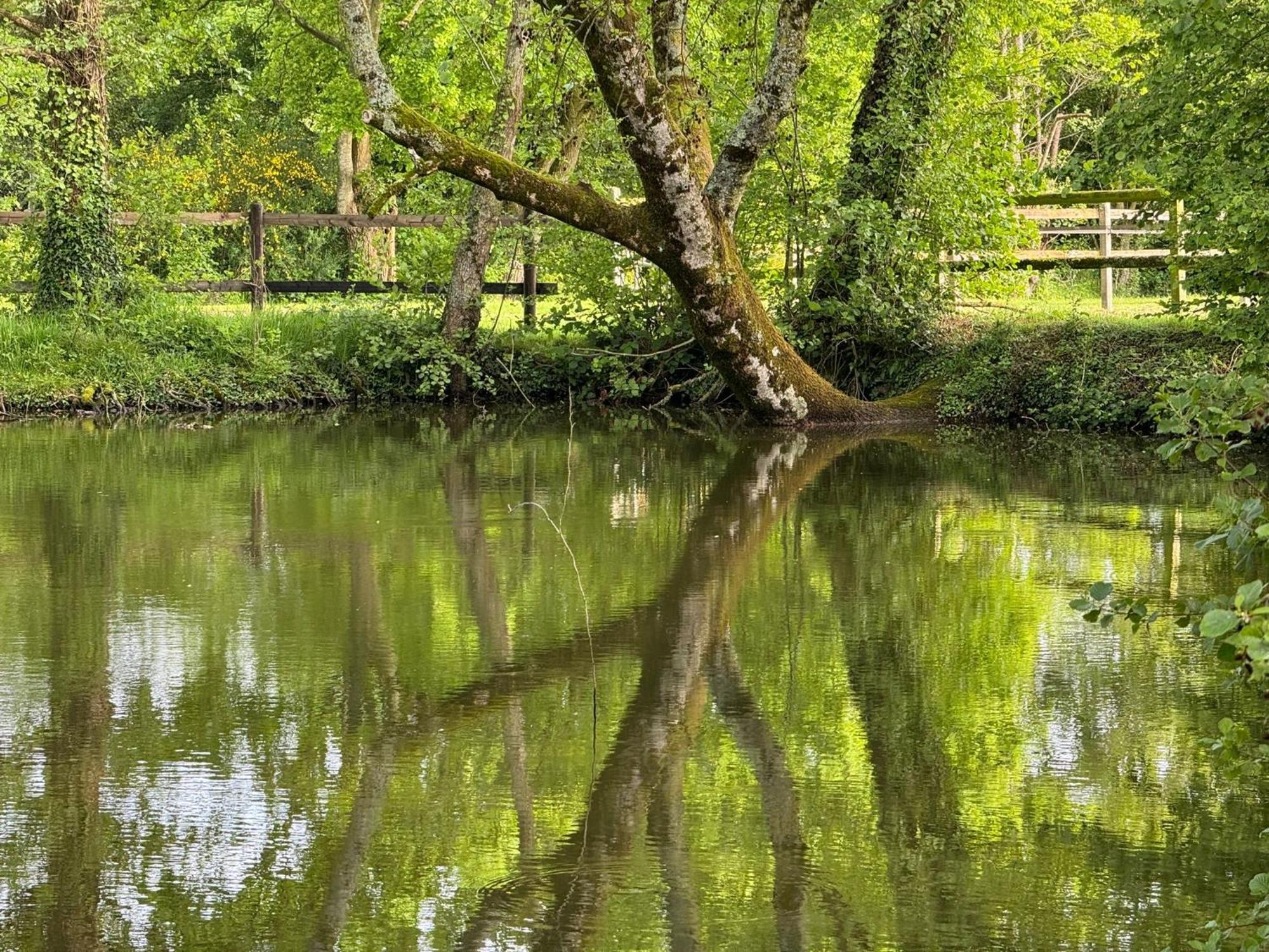 La Maison De L'Etang Manerbe Kültér fotó