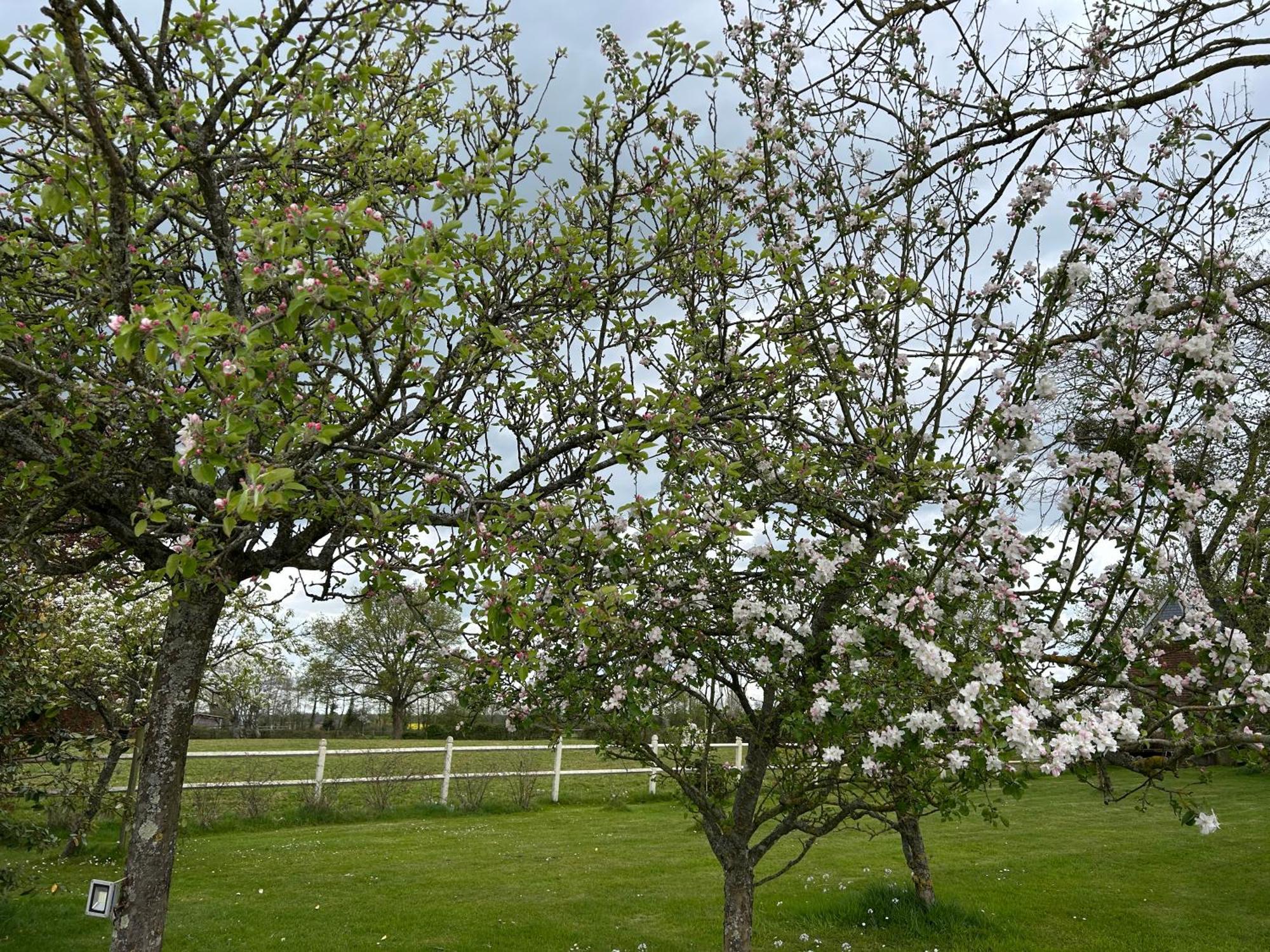 La Maison De L'Etang Manerbe Kültér fotó